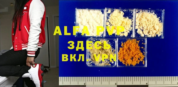 хмурый Корсаков