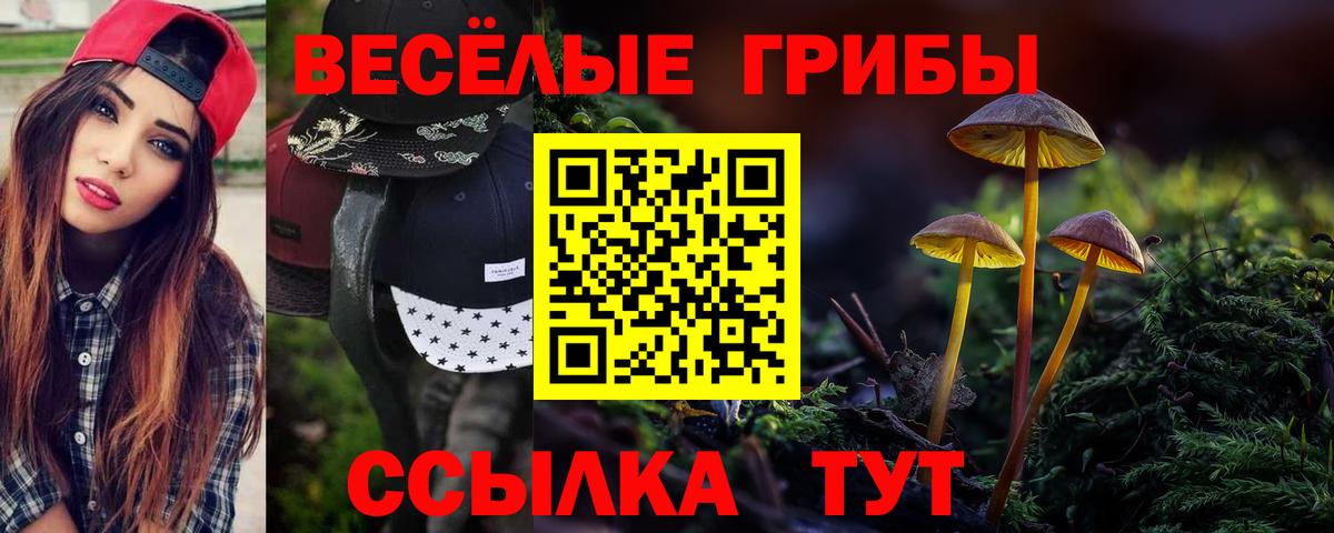 Галлюциногенные грибы ЛСД  Вход с VPN  Псилоцибиновые грибы Psilocybine cubensis  Родники 